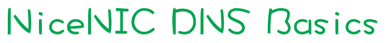 NiceNIC DNS Basics - NiceNIC.NET