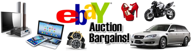 Why do people try sell domain names on eBay? - www.nicenic.net