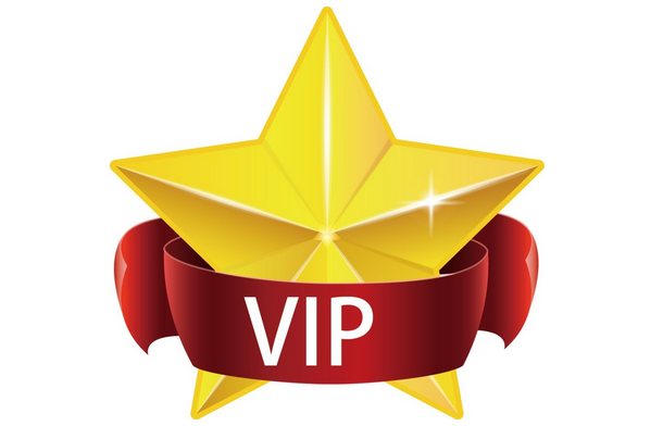 Chinese buy another 200,000 .VIP domain names - www.nicenic.net