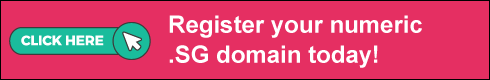 15000+ Premium .SG Domains Available with Generic Price! - www.nicenic.net