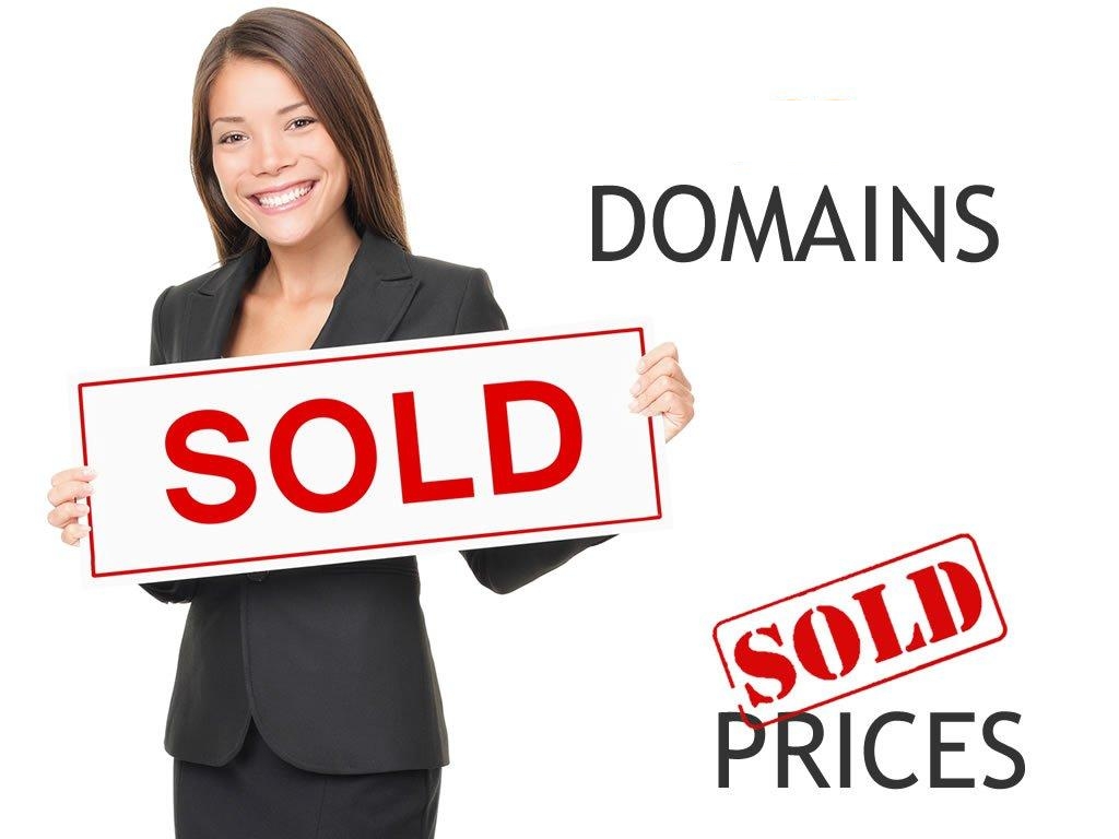 13 end user domain name sales - NiceNIC.NET