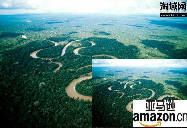 巴西秘鲁反对亚马逊商城申amazon顶级域名