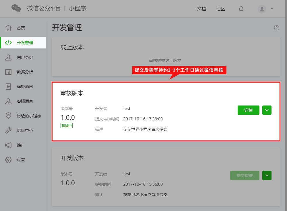 提交审核完成后,开发管理页中审核版本模块展示审核进度.
