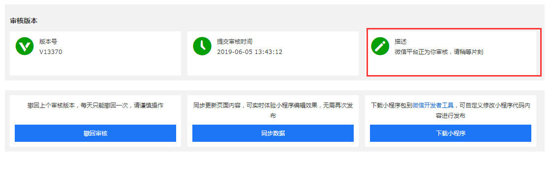 提交审核完成后,可查看审核版本进度.